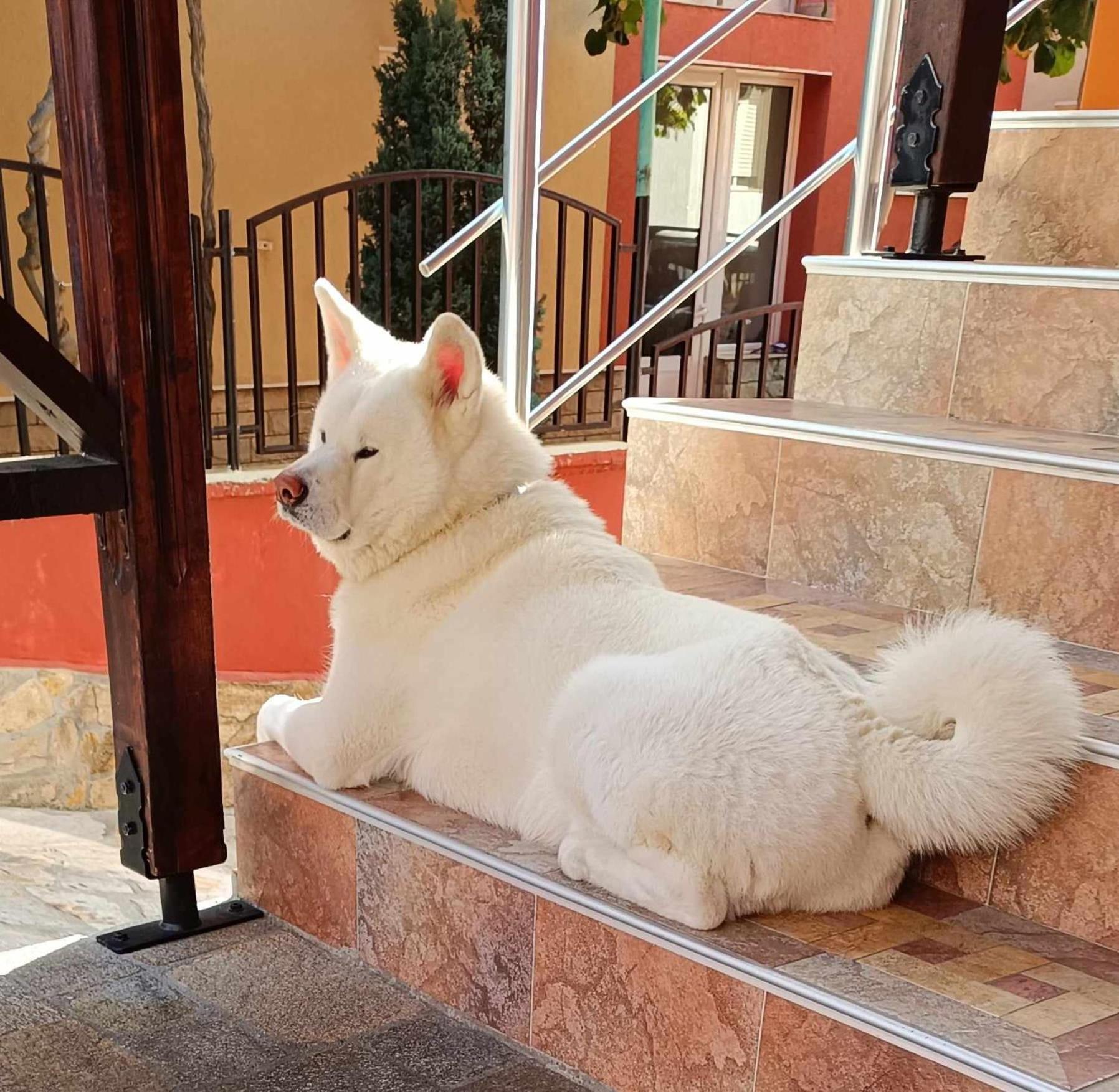 Виктория Созопол Hotel Exterior photo